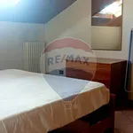 Rent 2 bedroom apartment of 50 m² in Ferrara