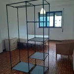 Alugar 6 quarto apartamento em Coimbra