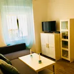 Alquilo 2 dormitorio apartamento de 45 m² en Malaga']