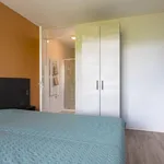 Rent 1 bedroom apartment of 58 m² in Rotterdam