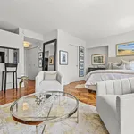 Rent 1 bedroom apartment of 46 m² in New York