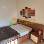 Rent 2 bedroom apartment of 50 m² in Campobasso