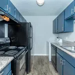 Rent 1 bedroom apartment in Houston