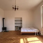 Rent 1 bedroom apartment of 49 m² in Písek