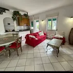 Rent 5 bedroom house of 140 m² in Montalto di Castro