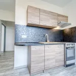 Rent 2 bedroom apartment of 50 m² in Plzeň