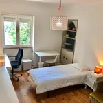 Rent 3 bedroom apartment in Lisbon