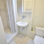 Rent 1 bedroom apartment in Brno