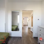 Rent 2 bedroom apartment of 37 m² in Pilsen