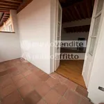 Rent 5 bedroom apartment of 200 m² in Lucca