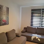 Rent 2 bedroom apartment of 40 m² in Stuttgart