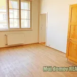 Rent 1 bedroom apartment in Capital City of Prague