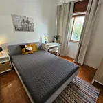 Alugar 7 quarto apartamento em Coimbra