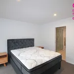 Rent 4 bedroom house in Dunedin