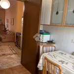 Rent 3 bedroom apartment of 80 m² in Novara