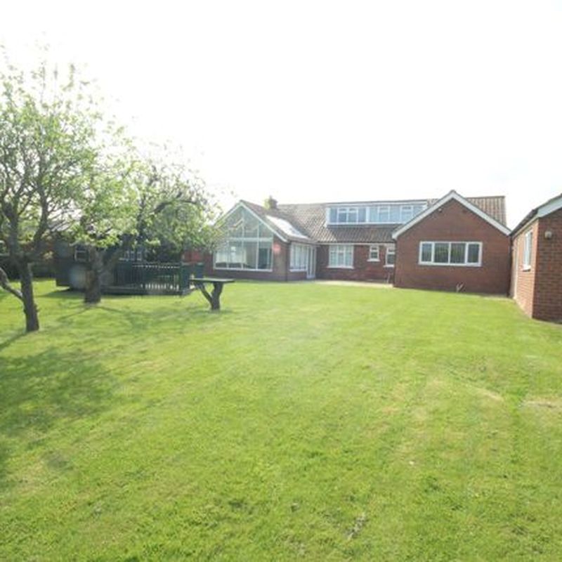 Bungalow to rent in Gypsy Lane, Marton-In-Cleveland, Middlesbrough, North Yorkshire TS7 Nunthorpe