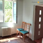 Rent 1 bedroom apartment of 35 m² in Ústí nad labem