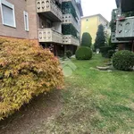 Rent 4 bedroom apartment in Padova