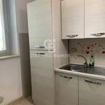 Rent 1 bedroom apartment of 40 m² in Rivoli