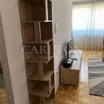 Rent 2 bedroom apartment of 49 m² in Zagreb