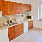 Rent 1 bedroom house of 282 m² in Capital City of Prague