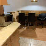 Rent 1 bedroom apartment in Brno