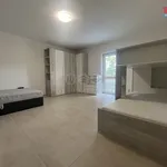 Rent 1 bedroom apartment of 44 m² in Jindřichův Hradec