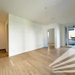 Rent 2 bedroom apartment of 41 m² in Linz