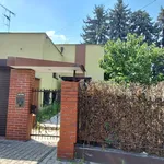 Rent 6 bedroom house of 236 m² in Gliwice