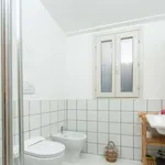 Rent 1 bedroom apartment of 80 m² in florence