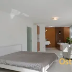 Rent 3 bedroom apartment of 145 m² in Ostrava