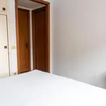 Rent 1 bedroom apartment in Rome