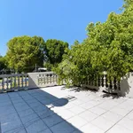 Rent 4 bedroom apartment of 110 m² in Torino