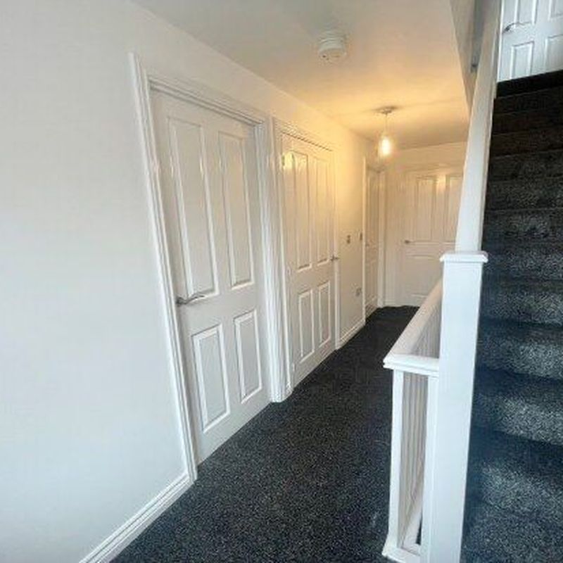 Semi-detached house to rent in Myrtle Crescent, Sheffield S2 Heeley