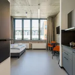 Miete 1 Schlafzimmer wohnung von 23 m² in Berlin