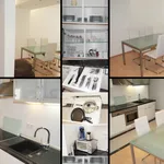 Rent 1 bedroom apartment in stuttgart