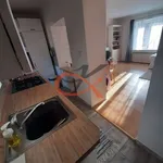 Rent 4 bedroom apartment of 60 m² in Rožnov pod Radhoštěm