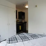 Rent 1 bedroom apartment in Other