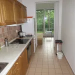 Rent 3 bedroom apartment of 62 m² in Brno