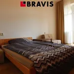 Rent 1 bedroom apartment in Brno