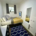 Rent 1 bedroom apartment in Liverpool