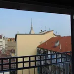 Rent 2 bedroom apartment of 45 m² in Turin