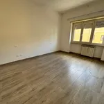 Rent 3 bedroom apartment of 100 m² in Roma