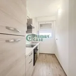 Rent 3 bedroom apartment of 85 m² in Turin