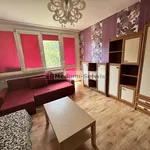 Rent 1 bedroom apartment of 34 m² in Kielce