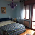 Rent 5 bedroom apartment of 110 m² in Rovigo