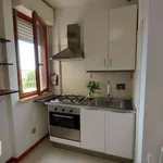 Rent 2 bedroom apartment of 40 m² in Rome