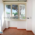 Rent 3 bedroom apartment of 70 m² in Naples