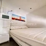 Rent 1 bedroom apartment of 20 m² in Turin