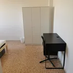 Rent a room of 110 m² in Modena